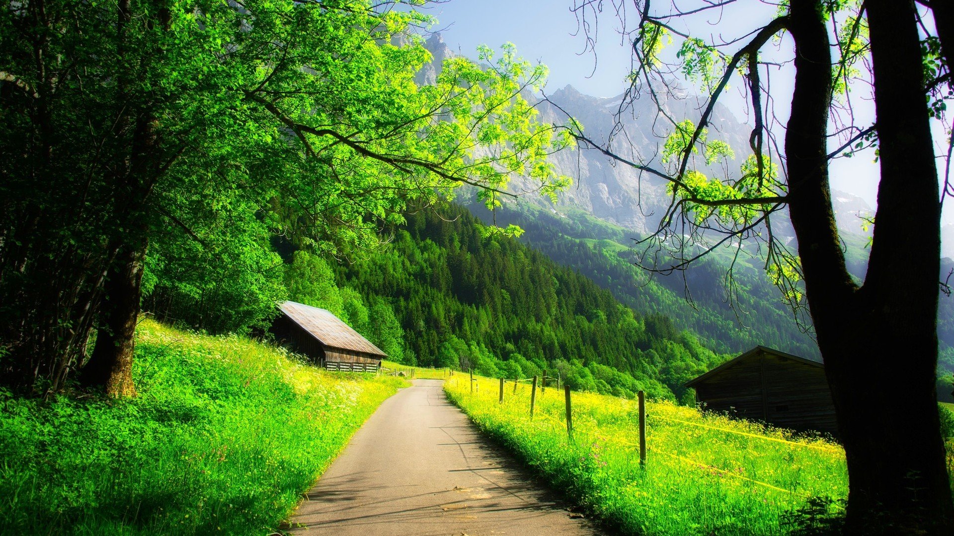 图片[8]-墙纸墙纸ing~-墨吻博客