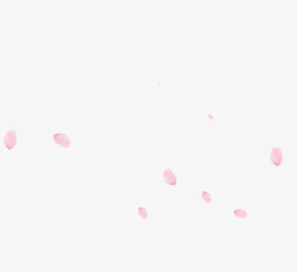给博客增加樱花特效全站背景唯美樱花JS代码-墨吻博客