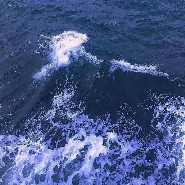 图片[2]-拾荒文案馆丨关于“大海”的文案-文案馆