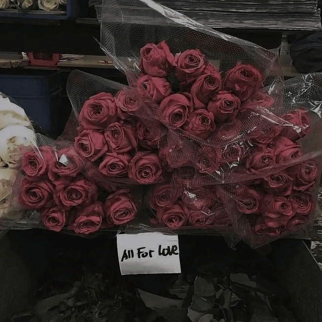 图片[4]-拾荒文案馆丨文艺又很污的句子-文案馆